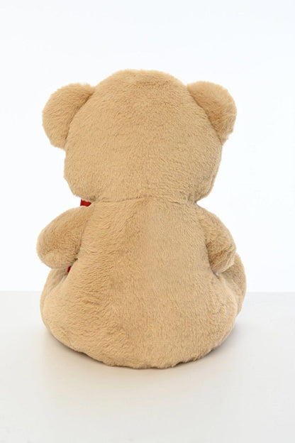 Sevgiliye Özel Hediye Mektuplu Ayıcık 45 Cm